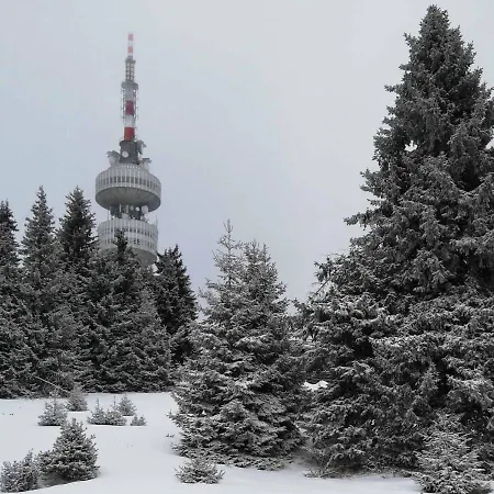 Snowy Dreams * Pamporovo