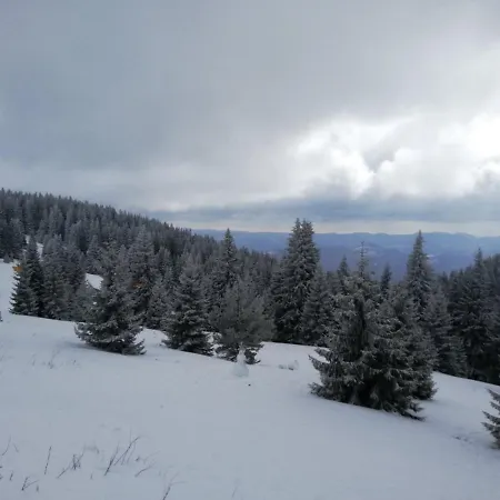 Snowy Dreams *