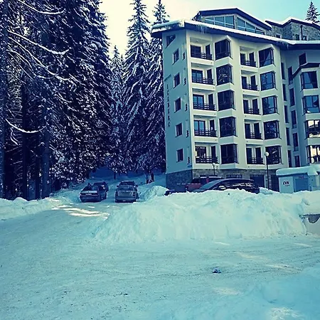 Snowy Dreams Apartment