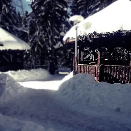 Apartment Snowy Dreams Pamporovo